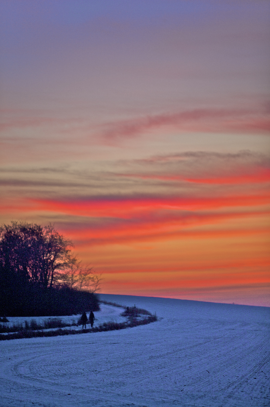  Z4Q2870   Arbeitskopie 2